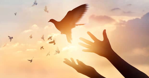 5 Spiritual Quotes to Live By