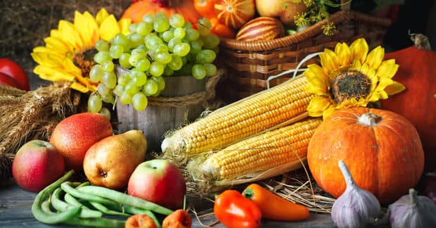 9 Plant-Based Thanksgiving Recipes to Spice up Your Feast