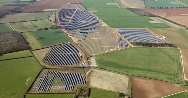 Growing Crops Under Solar Panels Makes Both Thrive