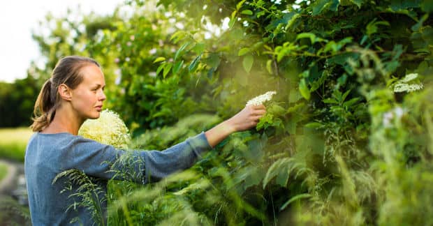 How Forest Gardens Create a Sense of Wellness and Community
