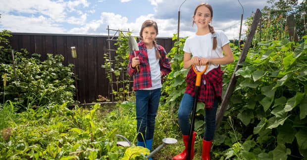 5 Organizations Transforming How We Think About Food