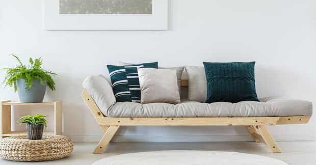 The 7 Best Houseplants for Your Bachelor Pad