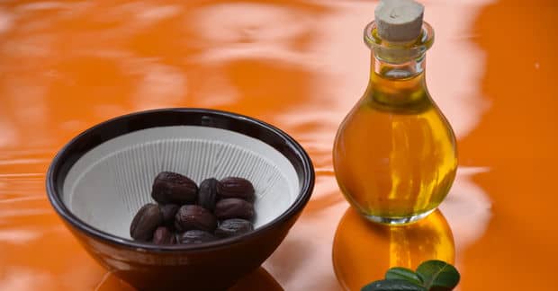 7 Reasons to Welcome Jojoba Oil into Your Life!