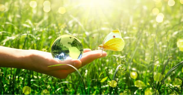 Microsoft Puts Nature First in Its Ten-Year Plan!