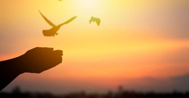 9 Facts That Prove the World Is Becoming a Better Place