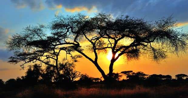 3 Countries Living the Dream Under African Skies