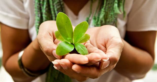 9 Easy Swaps for Everyday Household Items