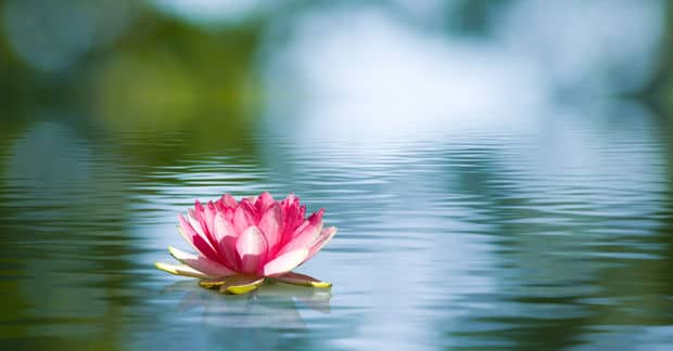 Spiritual Abundance as a Positive Response to Our Current Challenges