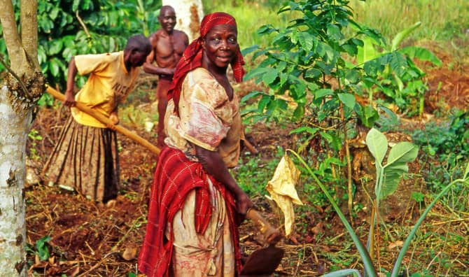 How Permaculture Empowers Refugee Women in Uganda