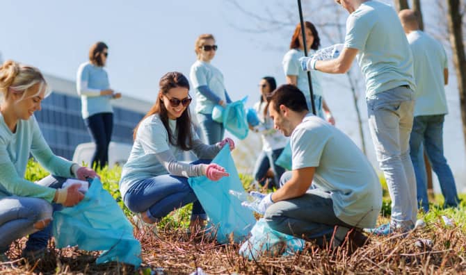 What Would be Your Perfect Volunteer Project? [QUIZ]