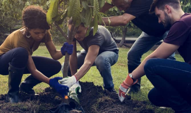 This University Found a Unique Way to Help Plant Millions of Trees