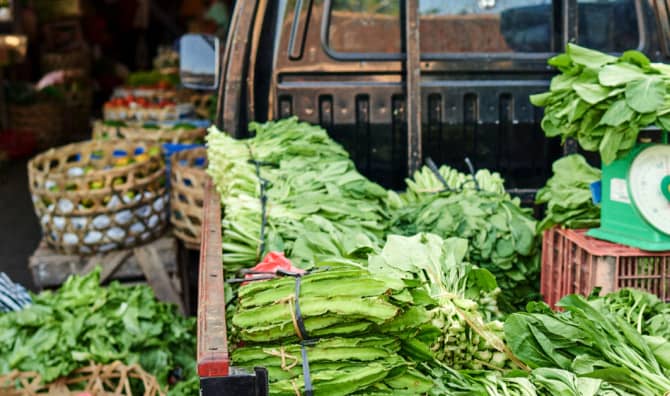 Truck Drivers in Indiana Can Now Donate Rejected Food Shipments