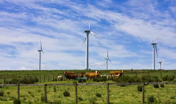 Scottish Wind Farms Produce More Energy Than the Country Needs