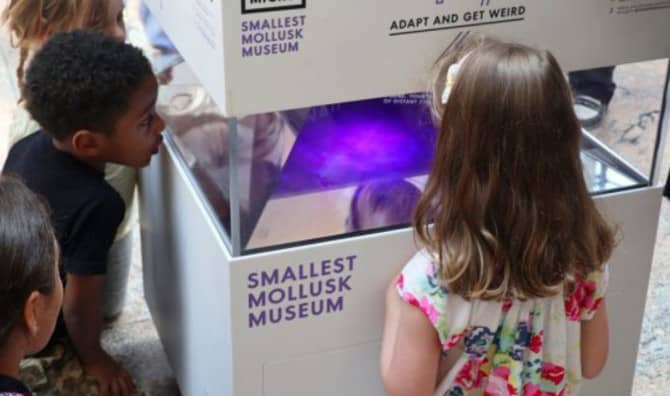 A New Trend of Micro Museums Is Making Science Portable