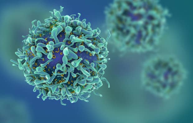 New Research Finds a Way for Our Body to Self Destroy Cancer