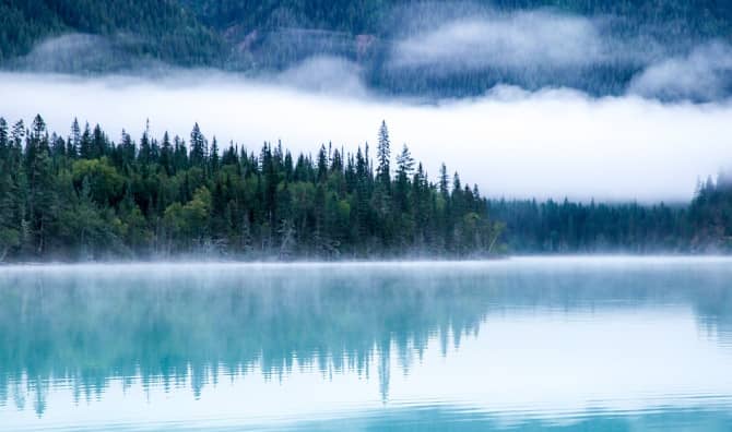 This Billionaire Is Donating $1 Billion to Save the Planet