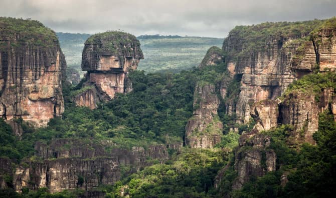 The Largest Protected Rainforest Is Now a World Heritage Site