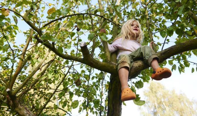 Bringing Back Risky Play in the Netherlands