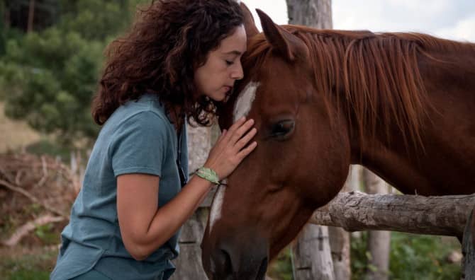 Equine Therapy Helps Healing in Israel