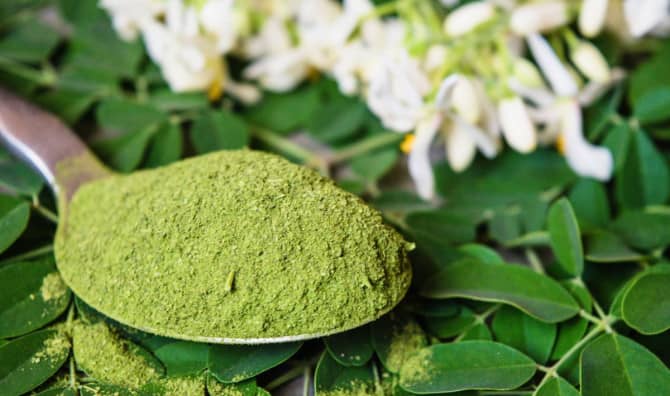 5 Benefits of Moringa to Explore