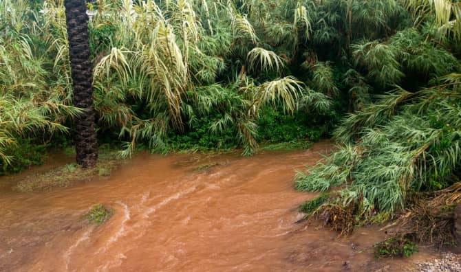 Pilots are a Lifeline After the Storm