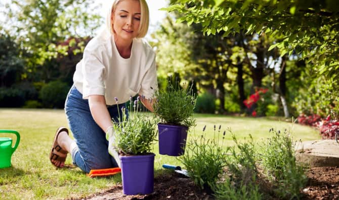 Dutch ‘Tile Whipping’ Competition Adds Greenery to Cities