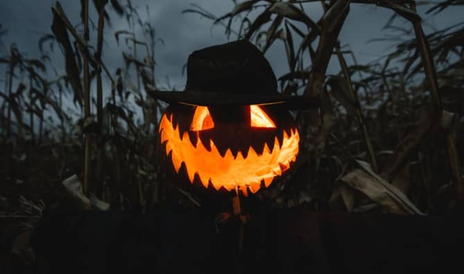 Jack-o'-lantern with a glowing orange carved face and eerie grin surrounded by dried corn stalks and branches in dim lighting.