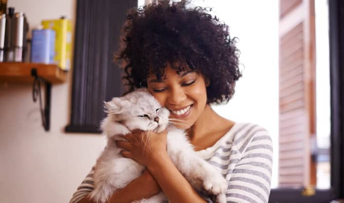 9  Fun Facts About Cats That Will Make Your Day