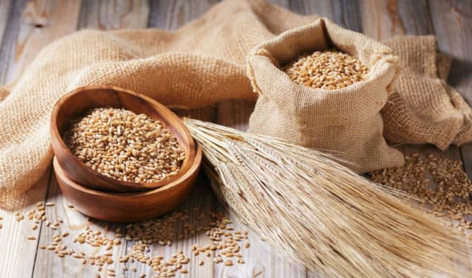 7  Best Benefits of Eating Barley