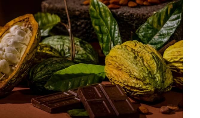 Swiss Scientists’ Make a Chocolate Breakthrough