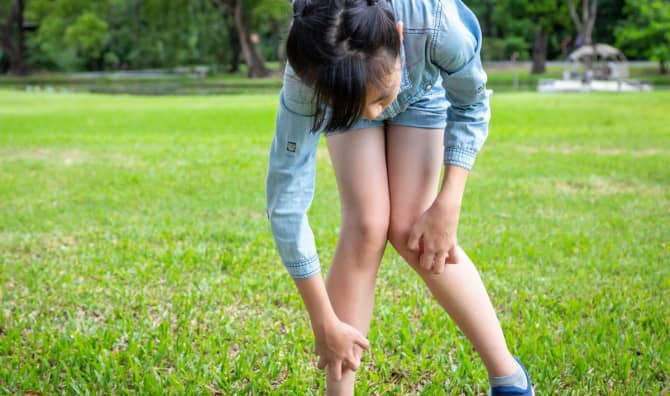 How to Prevent Mosquito Bites According to Science