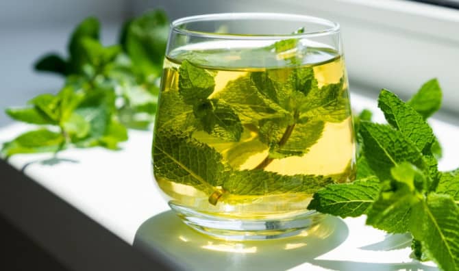 5 Good Reasons to Drink Mint Water