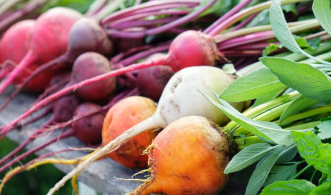 7 Hardy Beet Recipes to Try This Winter