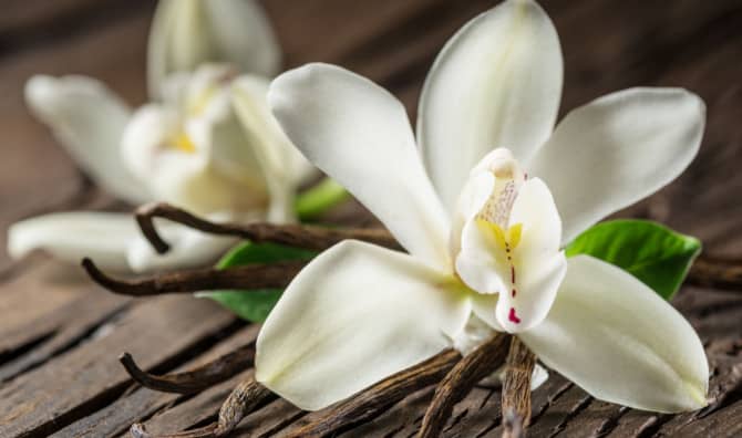 5 Benefits of Vanilla You May Not Know