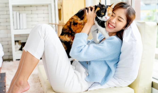 Cats in Singapore Have Something to Celebrate!