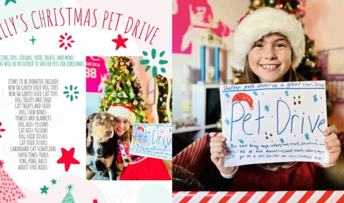 Colorado 9-Year-Old Organizers a Pet Drive for Christmas