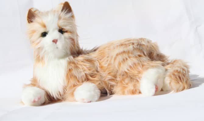 This Oregon Library Allows You to Take Out Robot Cats