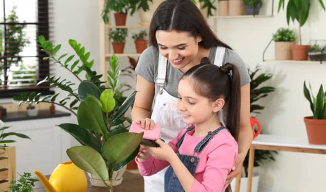 7 Low Maintenance Houseplants That Anyone Can Grow