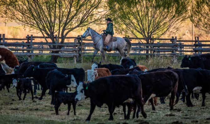 This Project is Helping Colorado Farmers with Mental Wellness
