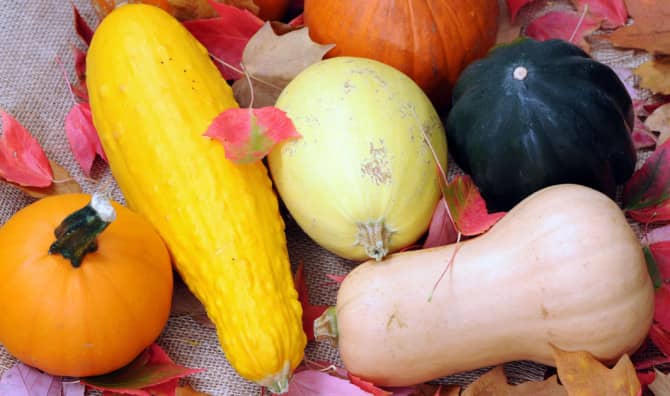 5 Good Reasons to Eat Winter Squash