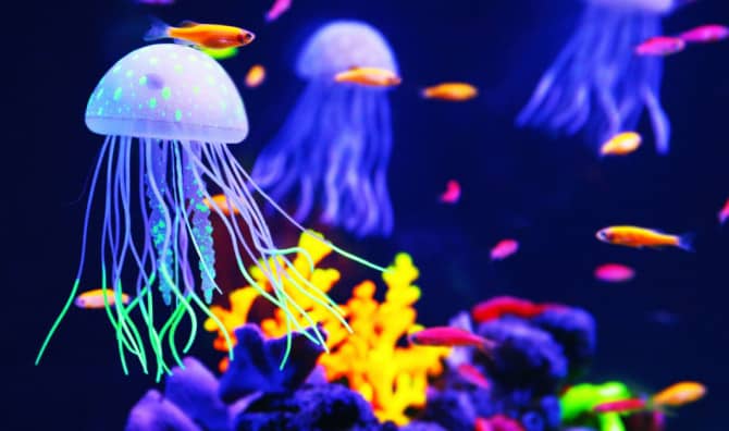 Meet the Jellyfish Inspired Robot That Could Clean Under the Sea