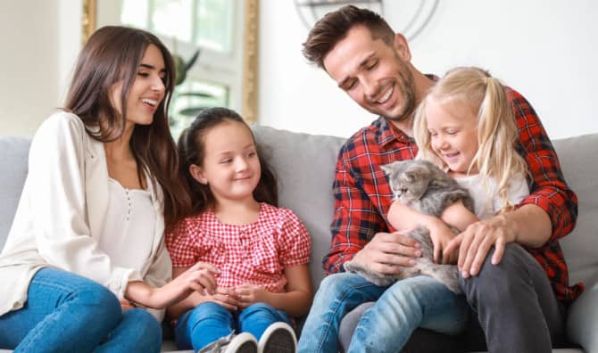 7 Best Movies for Cat Lovers to Watch