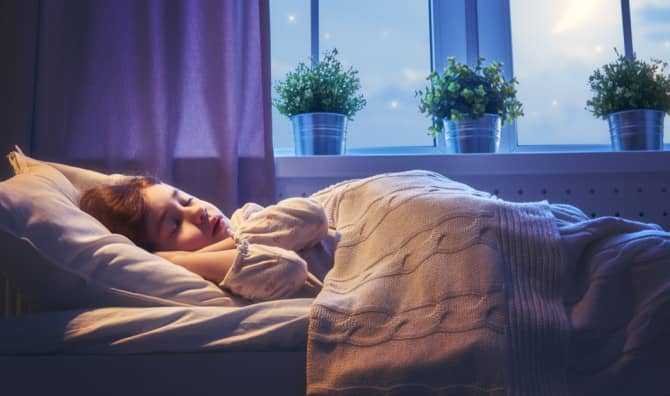 5 Herbs That Could Help Improve Sleep