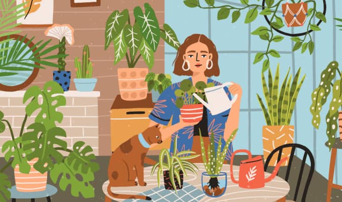 Houseplants Thrive When Given Names