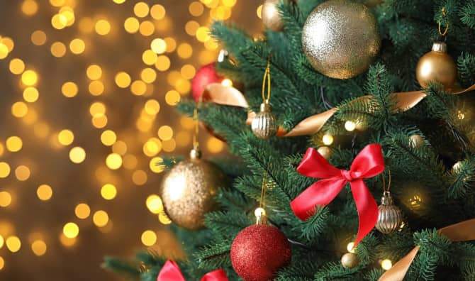 Which Christmas Tree is the Better Choice?