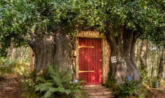 Bearbnb is Open for Guests