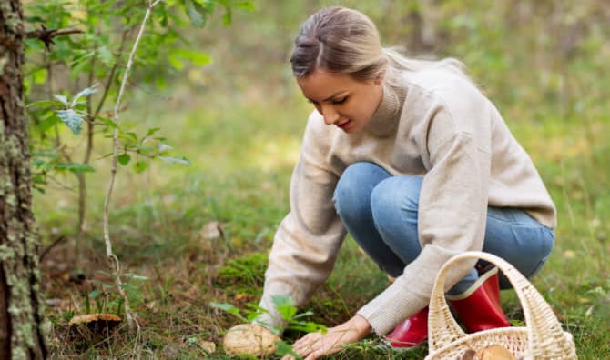 Why Fall  Means Food Foraging Time