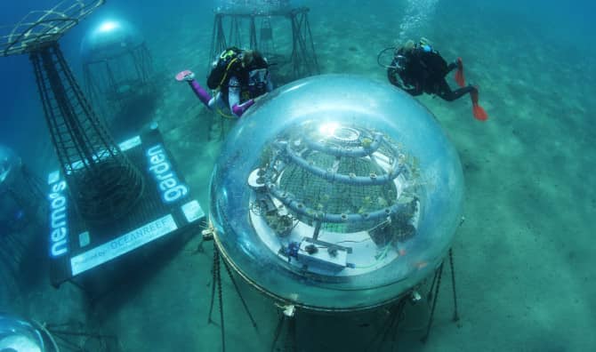 World’s First Underwater Farm is Growing Fruits and Vegetables