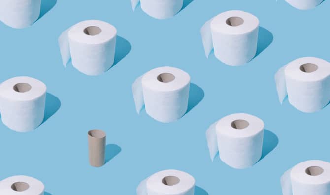 7 Best Bamboo Toilet Papers