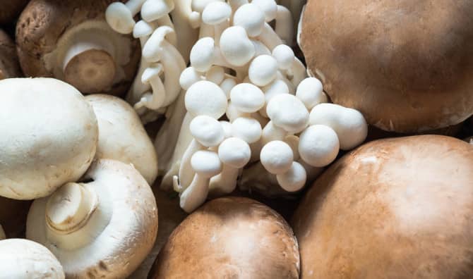 6 Mighty Mushroom Benefits